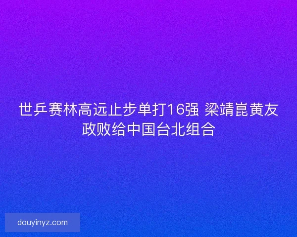 世乒赛林高远止步单打16强 梁靖崑黄友政败给中国台北组合