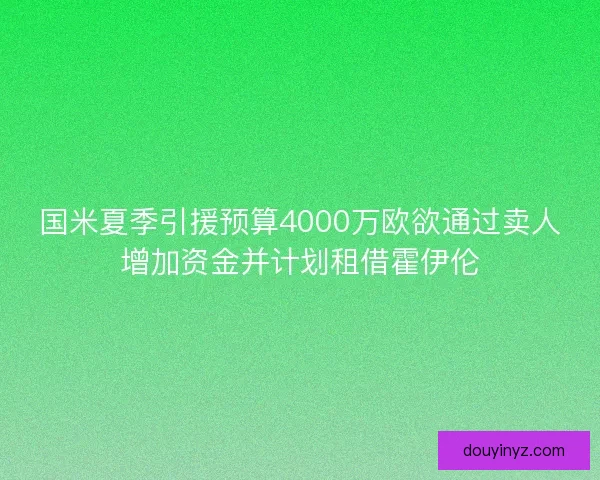 国米夏季引援预算4000万欧欲通过卖人增加资金并计划租借霍伊伦